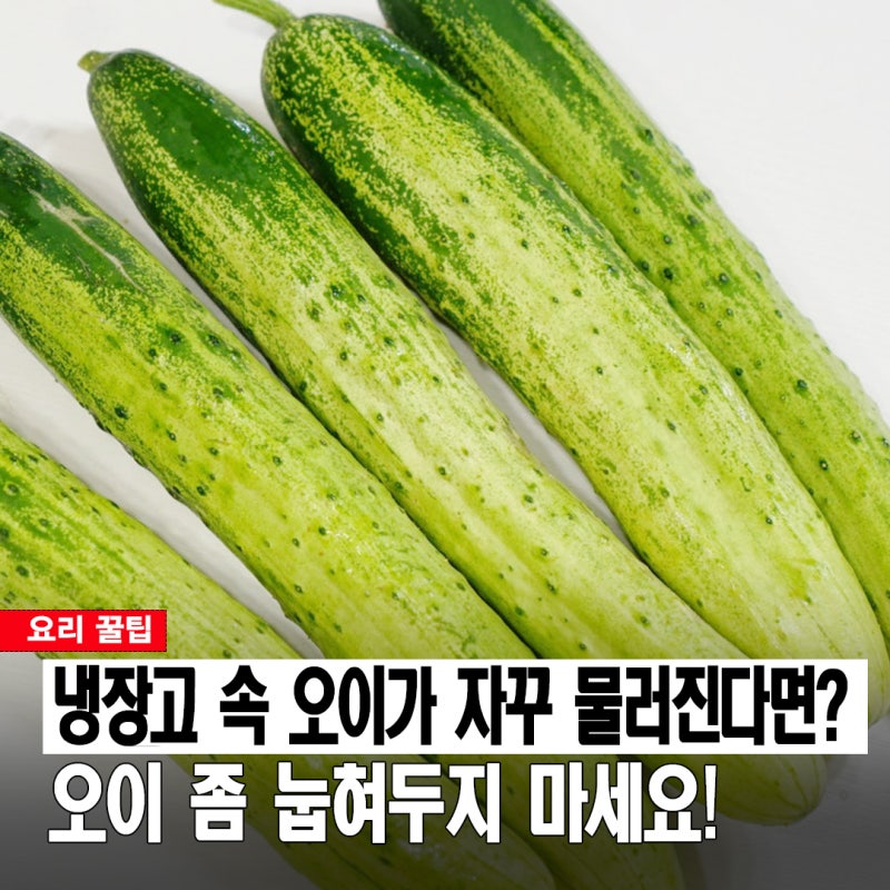 냉장고 속 오이가 자꾸 물러진다면? 보관 방향부터 바꿔보세요