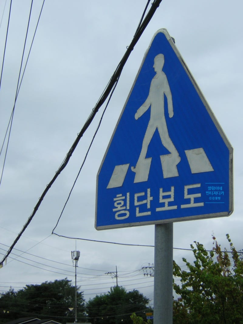 르세라핌 사쿠라 디카로 유명한 연예인 디카 니콘 쿨픽스 2100 작례 다수