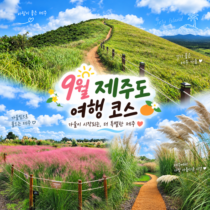 9월 제주도 여행 제주 가을여행 코스 추천