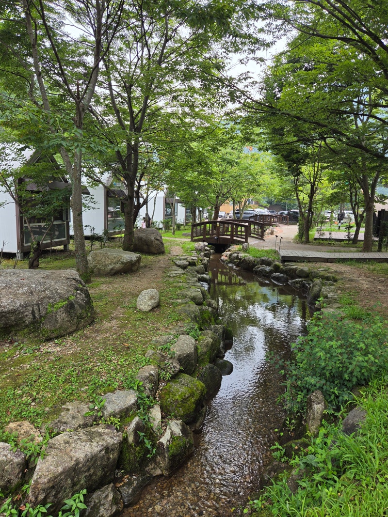 소백산 국립공원 삼가야영장 하우스 A19 예약 1박 2일 후기