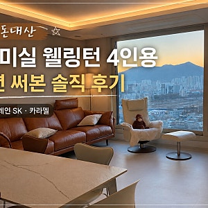 도미실 웰링턴 4인용 소파 1년 사용 후기｜풀그레인 SK 카라멜 내돈내산