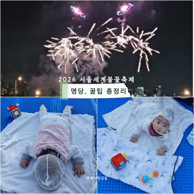 2026 서울세계불꽃축제 9월 5일 일정 명당 준비물 방문 귀가 꿀팁 총정리 온라인생중계