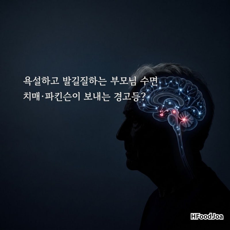 단순한 잠버릇이 아니다? '노인 심한 잠꼬대'가 뇌 건강(치매, 파킨슨)이 보내는 위험 신호인 ....