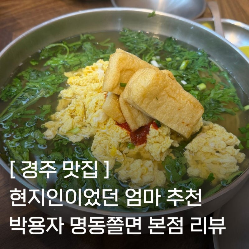 경주 박용자 명동쫄면 본점 현지인이었던 엄마 추천 맛집!