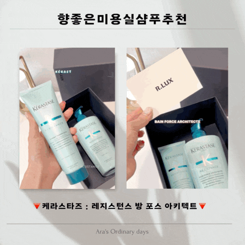 케라스타즈 : 레지스턴스 방 포스 아키텍트 샴푸 미용실 샴푸 추천