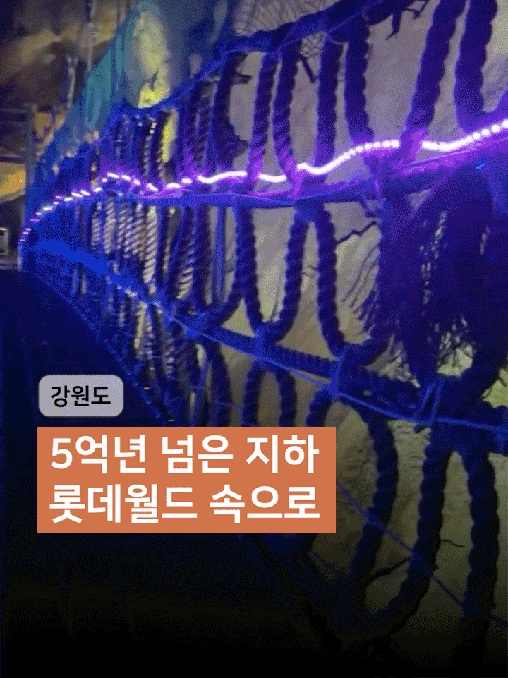 강원도 가볼 만한 곳｜거대한 삼척 환선굴 후기 (모노레일·입장료)