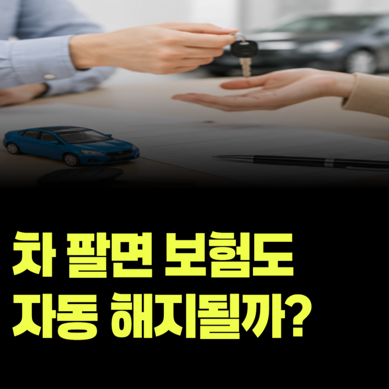 차 팔면 자동차보험도 자동으로 해지될까? 보험료 환급까지 정리