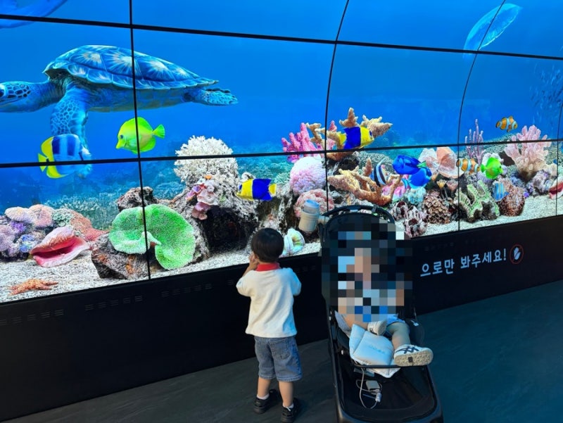 仁川で子供と行ける場所：ソムギム、イギムと仁川こども科学館に何度も訪問したレビュー！（3歳児）