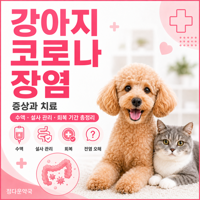 강아지 코로나 장염 증상과 치료-수액, 설사 관리, 회복 기간 등 총정리