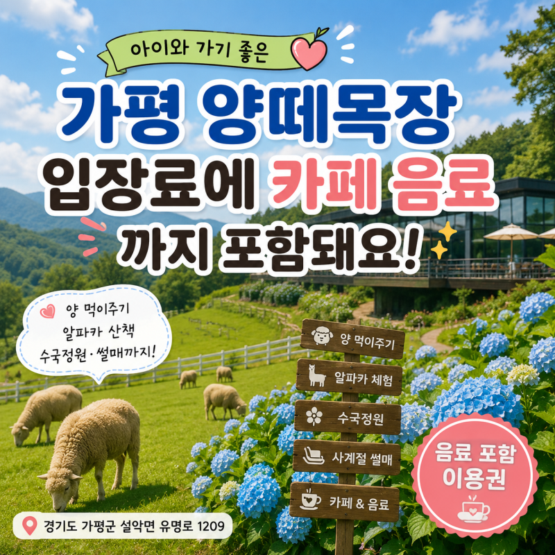 가평 양떼목장 입장료에 카페 음료까지 포함돼요