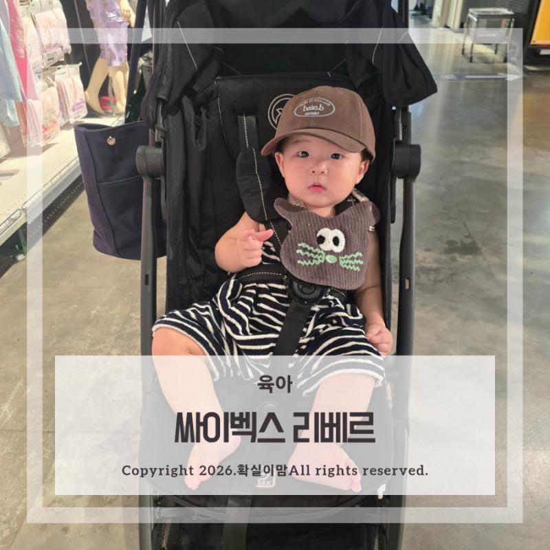 휴대용 아기 유모차 추천 안전하고 편안한 초경량 싸이벡스 리베르 절충형이랑 비교 후 선택