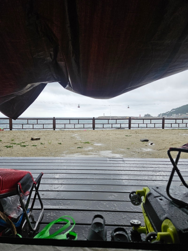 삼척 장호비치캠핑장 삼척캠핑장추천 장호항 근처 캠핑장 뚜벅이여행자 버스 타고 가기 D7 ....