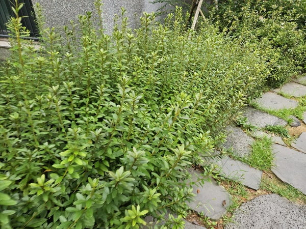 청약통장 소득공제 조건과 연말정산에서 확인할 내용