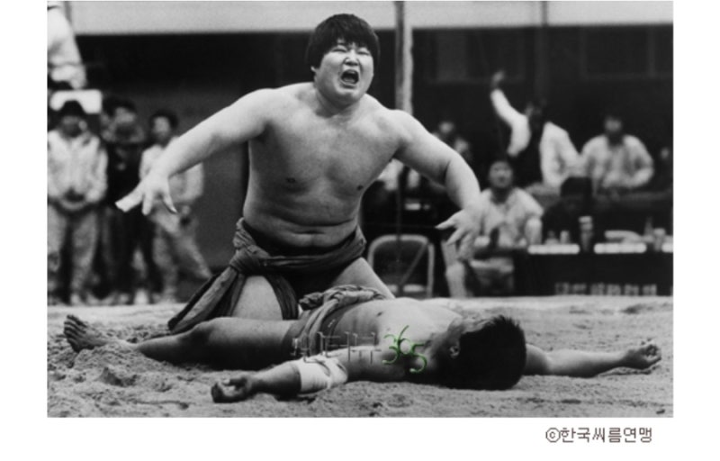 강호동, 씨름판 천하장사에서 국민 MC가 되기까지