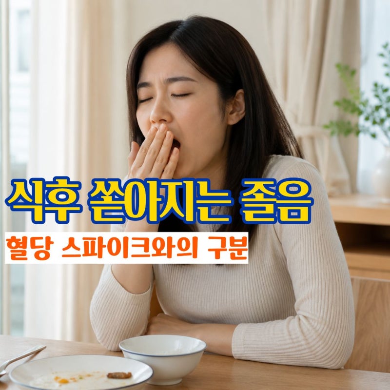 식곤증 뜻과 혈당 스파이크 식후 참기 힘든 식곤증원인과 해결법