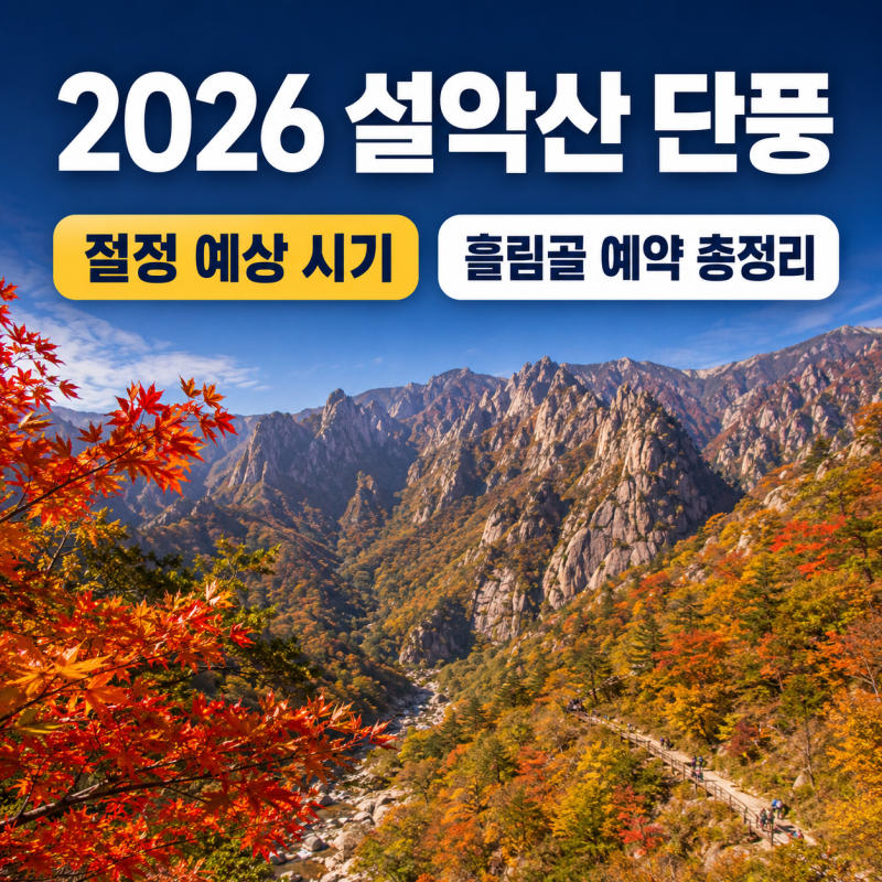2026 설악산 단풍 예상 시기｜흘림골 예약 방법과 절정·추천 코스 총정리