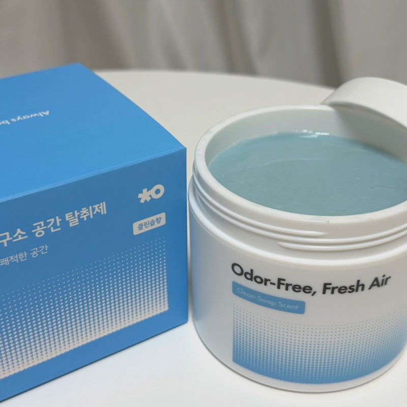 남동생, 사춘기 아들방 냄새 빼주는 고체탈취제 실사용 후기