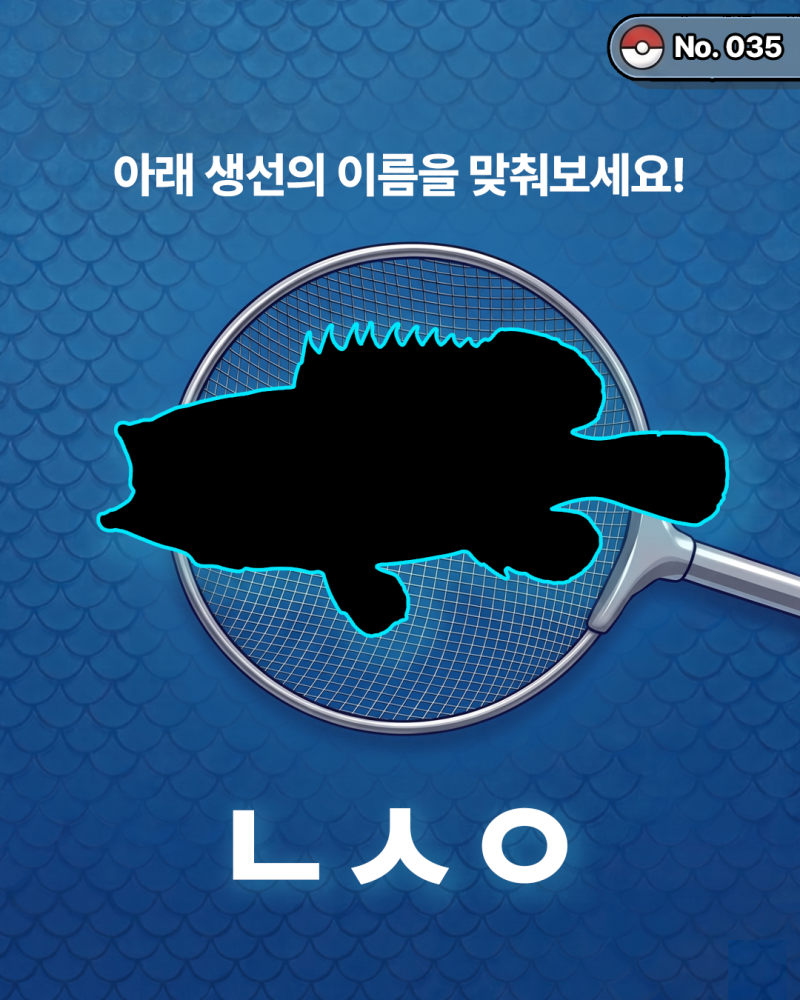 능성어 회 시세 제철 양식 자바리 붉바리 차이