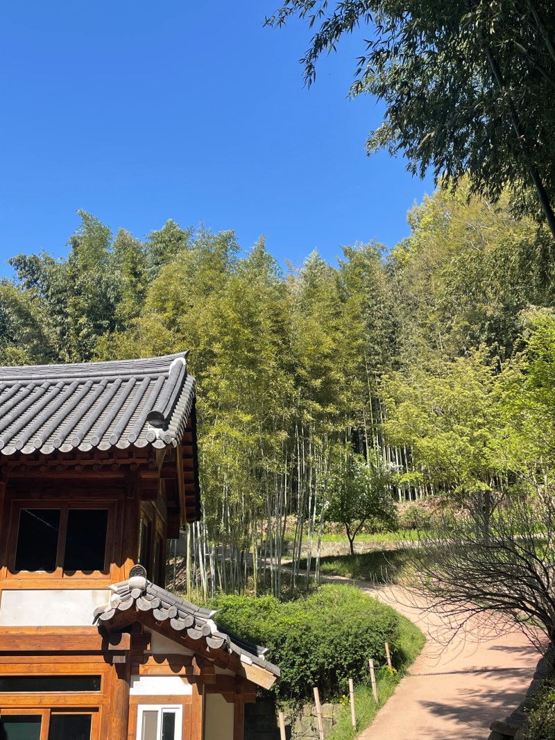 담양 죽녹원 완벽 정리 | 주차, 운영시간, 입장료, 꿀팁
