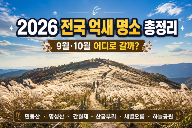 2026 전국 억새 명소·축제 총정리｜민둥산·명성산·산굼부리·간월재 9월·10월 어디로 갈까?