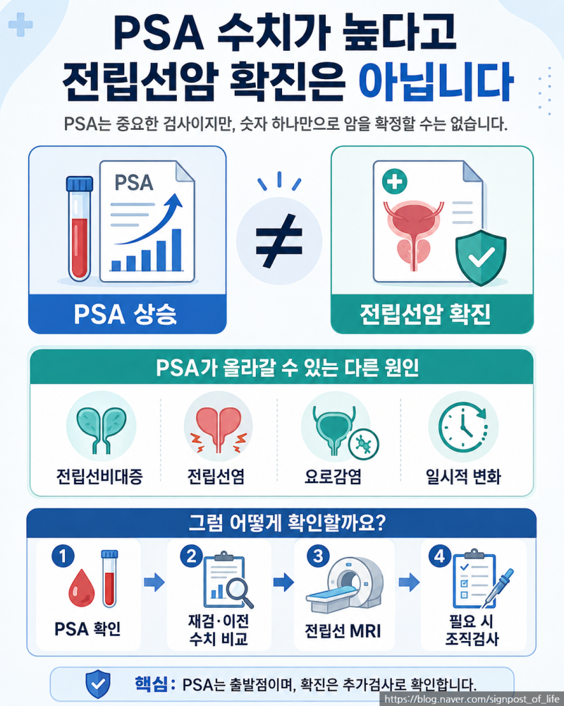 전립선암 PSA 수치, 4 넘으면 암일까? 높게 나왔을 때 확인할 것