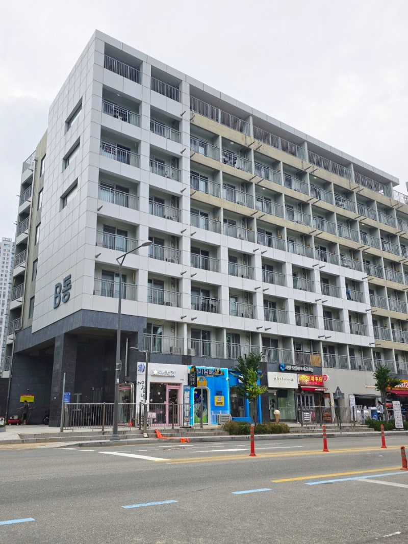 [속초] 속초해수욕장 앞 가성비 애견동반 가능한 숙소 내돈내산 재방문 후기