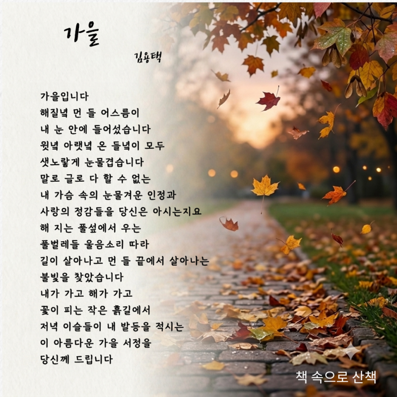 [추천시] 가을 서정을 당신께 드립니다ㅣ김용택 가을