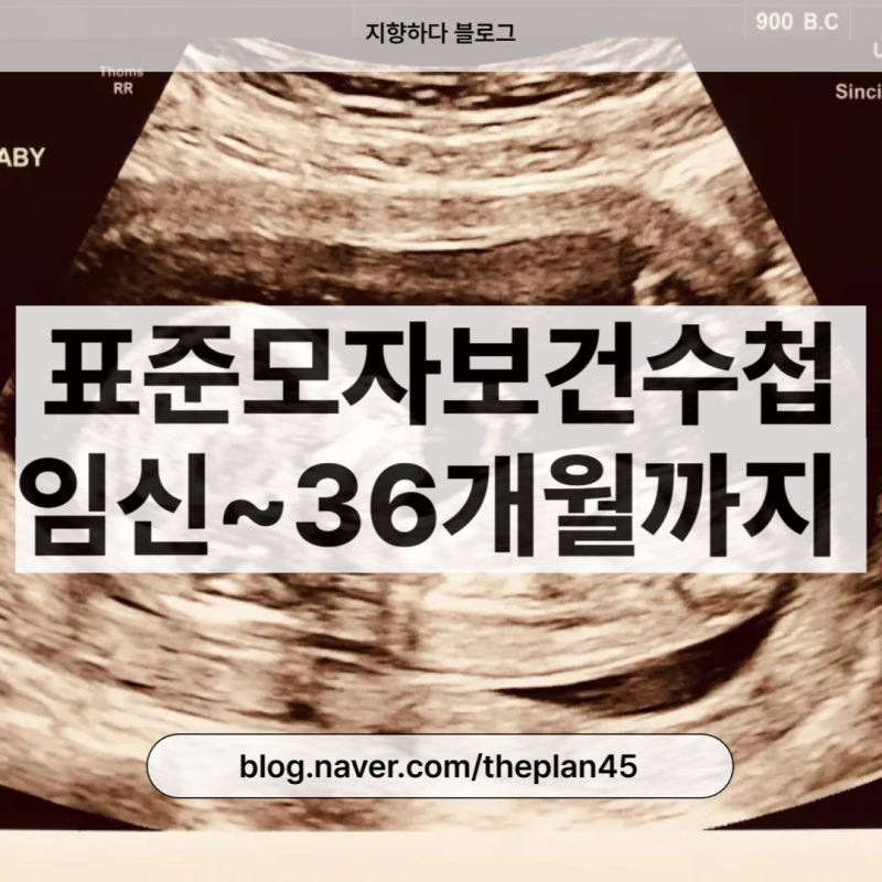 표준모자보건수첩, 임산부수첩, 임신부터 36개월까지 무료로 받는 건강기록 수첩