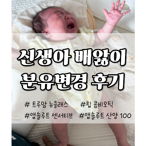 신생아 배앓이 분유 변경 후기 | 트루맘, 힙, 앱솔루트 센서티브, 산양 100