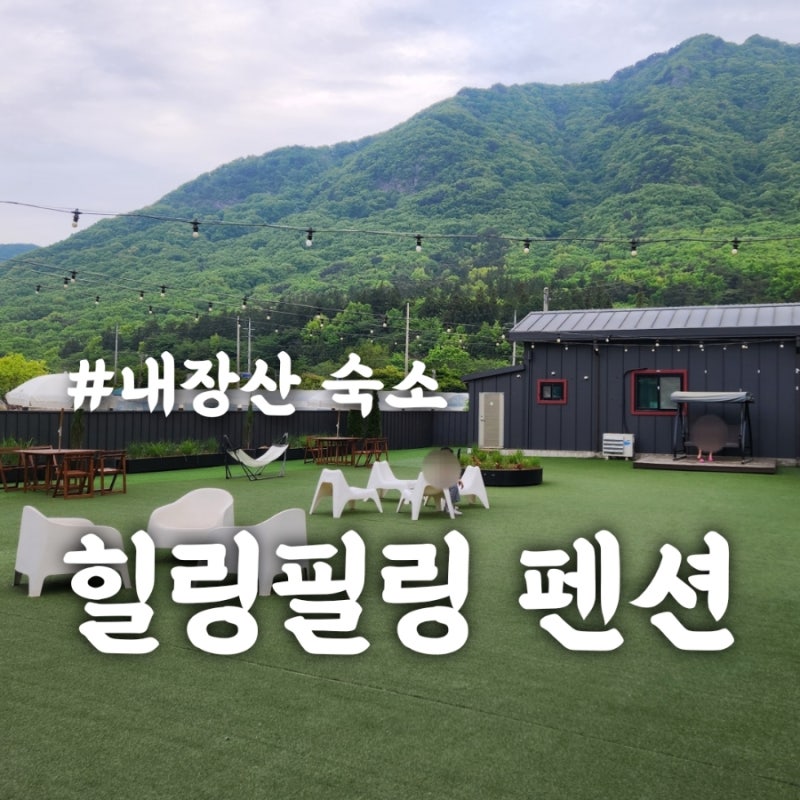 정읍 내장산 숙소 뷰 좋은 독채 펜션 힐링필링펜션 B동 1박 후기