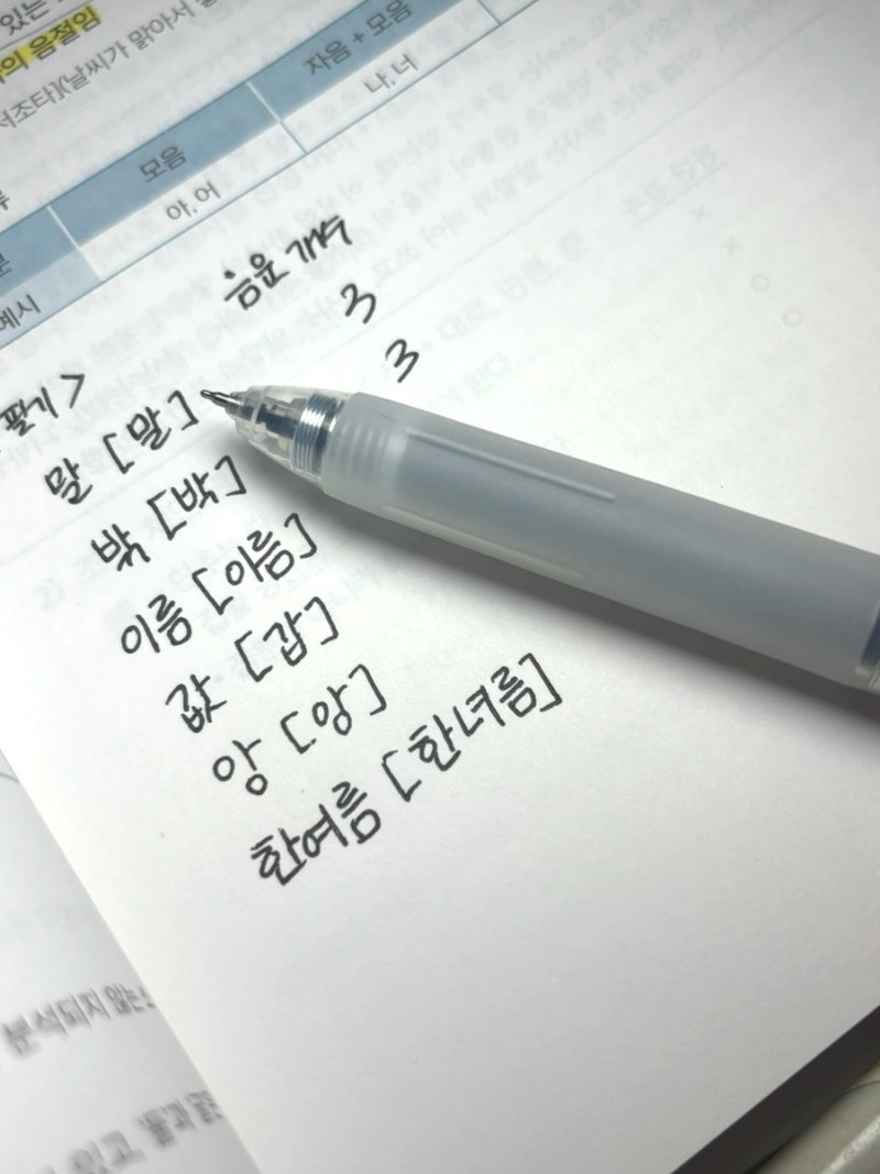 다이소 볼펜 추천｜글씨 예쁘게 써지는 펜, 대용량 노크식 젤펜