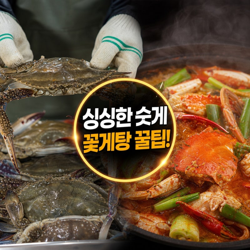 싱싱한 숫게 고르는 법부터 꽃게탕 레시피 팁까지