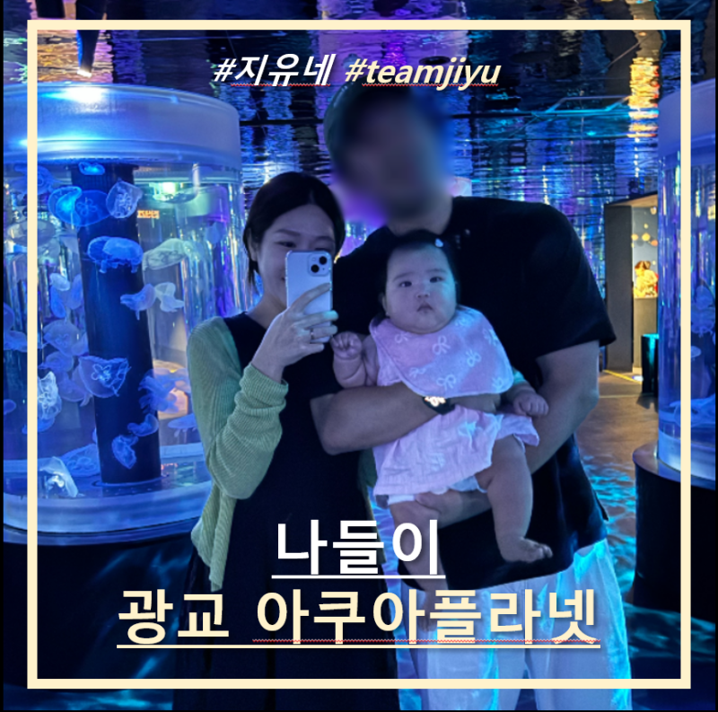 [광교 아쿠아플라넷] 6개월 아기와 완벽 공략! 주차, 할인, 수유실, 머메이드쇼 명당 꿀팁