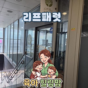창원 앵무새 카페 리프패럿 창원점 먹이체험 팁