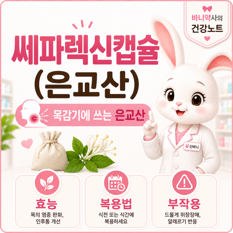 목감기에 쓰는 ‘은교산’ 제대로 알아보기 [약사 신바니]