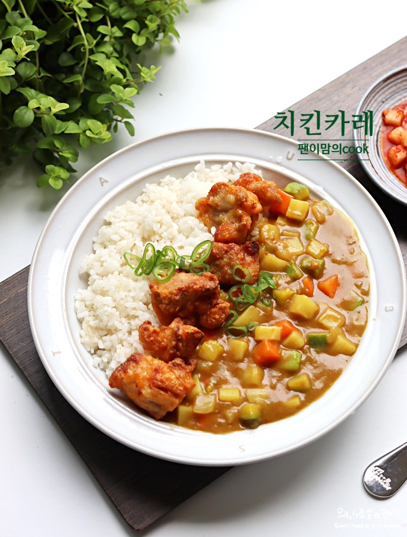치킨 카레 만드는법 재료 일본 고형 카레 레시피