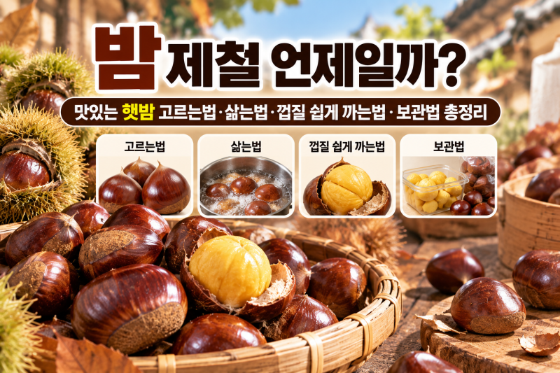 밤 제철 언제일까? 맛있는 햇밤 고르는법·삶는법·껍질 쉽게 까는법·보관법 총정리