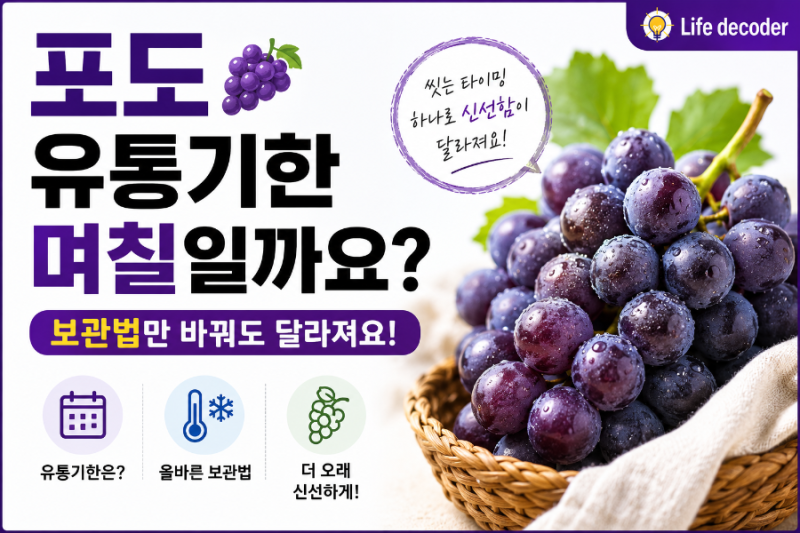 포도 유통기한 며칠일까요? 보관법만 바꿔도 달라져요