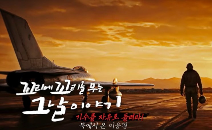 꼬리에 꼬리를 무는 그날 이야기 1983년 <b>이웅평</b> 대위 미그기 귀순과  ....