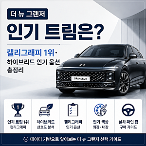 더 뉴 그랜저 인기 트림은? 캘리그래피 1위·하이브리드 인기 옵션 총정리