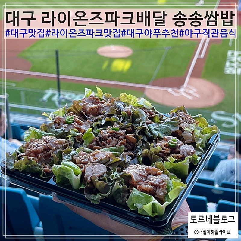 대구 라이온즈파크 맛집 송송쌈밥 삼성라이온즈 야푸 추천