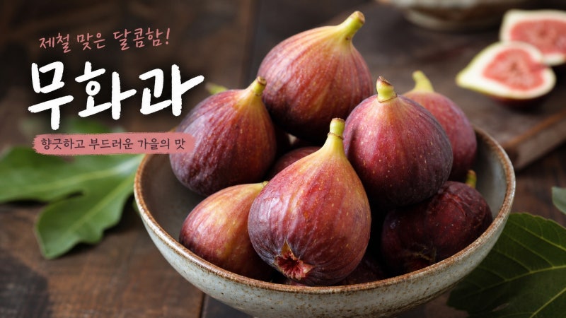 "9월 제철 무화과 먹는법" 껍질 손질 무화과잼 설탕 비율 보관법 이것만 알면 됩니다