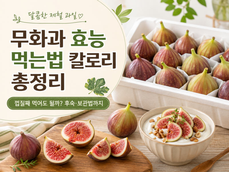 무화과 효능 먹는법 칼로리 제철 보관법 후숙무화과 효능 먹는법 칼로리 제철 보관법 후숙, ....