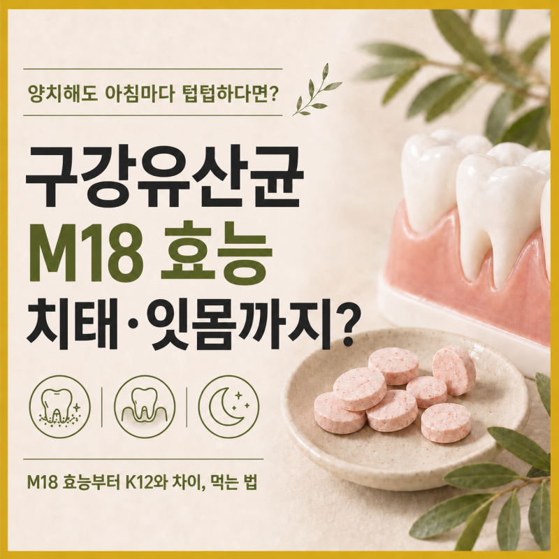 양치는 매일 하는데 아침마다 입안이 텁텁한 이유 구강유산균 M18 알아봤어요