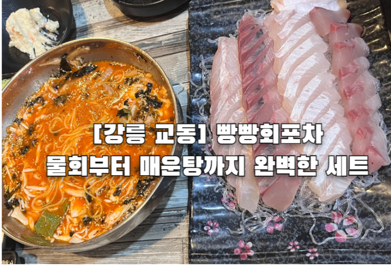 [강릉] 교동 가성비 횟집 빵빵회포차 후기｜물회부터 매운탕까지 완벽한 회 세트 추천