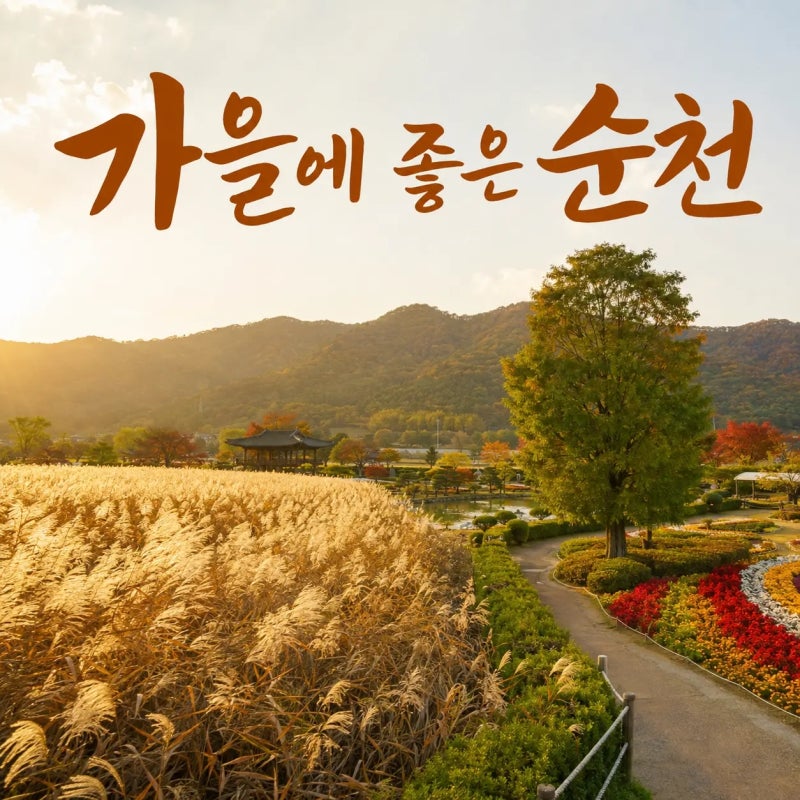 7 Great Places to Visit in Suncheon for an Autumn Trip