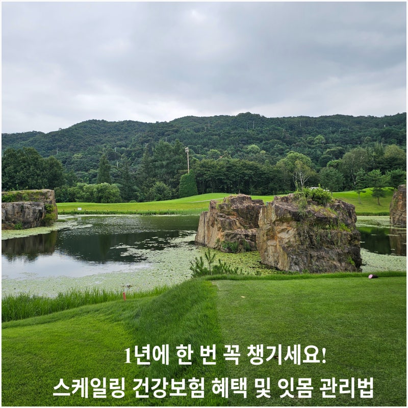 스케일링 건강보험 혜택 가격과 올바른 주기 3분 정리