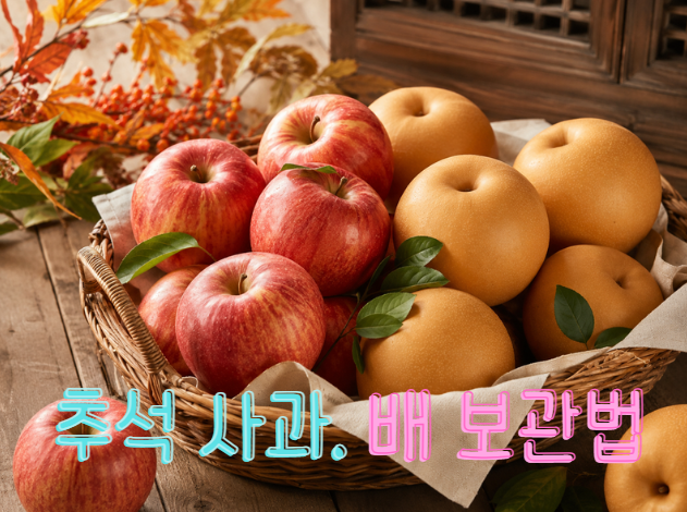 추석 사과·배 보관법