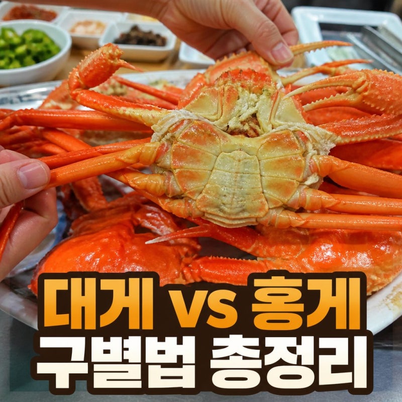 대게인 줄 알고 먹었는데 사실 홍게였다? 절대 안 속는 구별법
