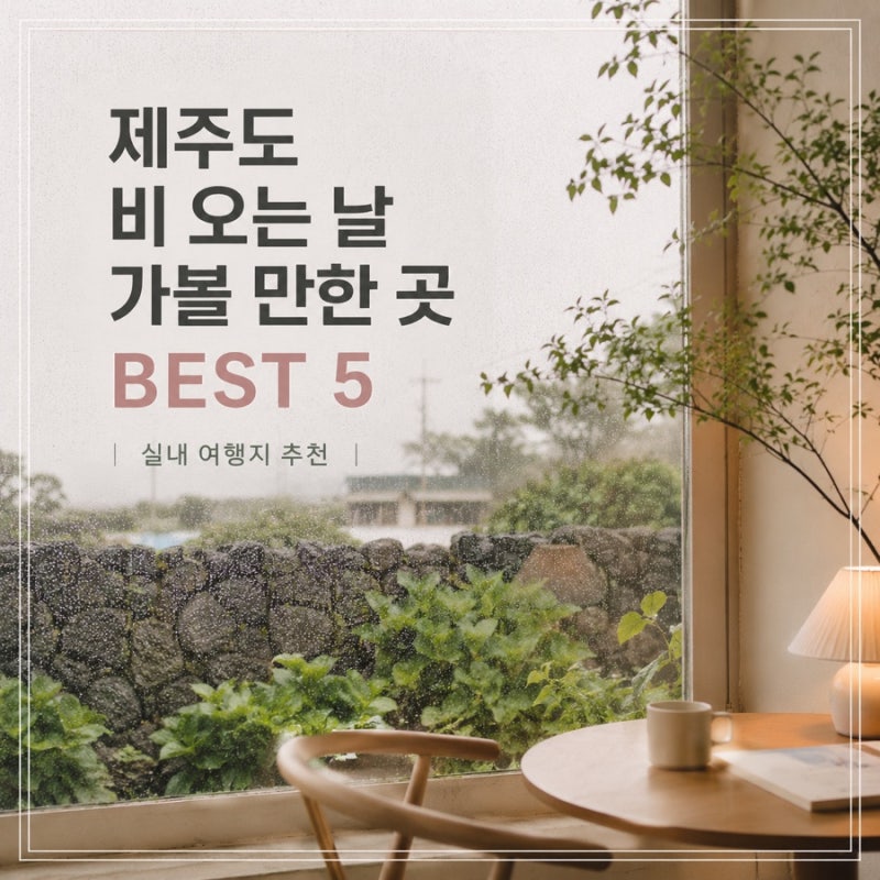 제주도 비오는날 가볼만한 곳 BEST 5 | 비 와도 좋은 제주 실내 여행